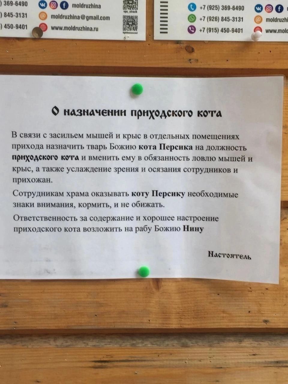 Анодиной м н у чзо мит позуню О т0го мо об оао нн П назначеннн приходского кота В связи заснльем мышей и крыс в отдельных помещениях прихода назначить тварь Божию кота Персика на должность приходского кота и вменить му в обязанность ловлю мышей и крыс а также услаждение зрения и осязания сотрудников и прихожан Сотрудникам храма оказывать коту Перси