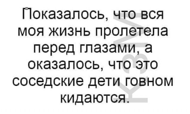 Показалось что вся моя жизнь пролетела перед глазами а оказалось что это соседские дети говном кидаются