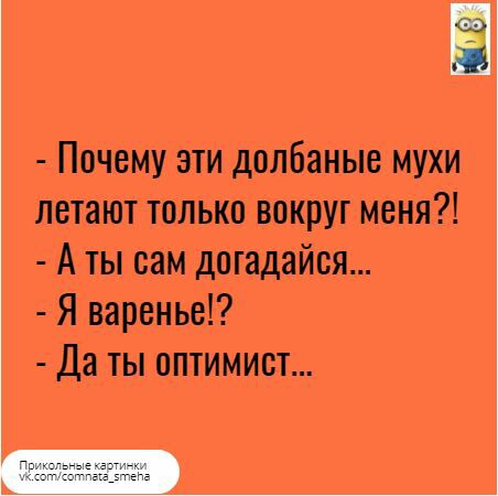 Почему эти долбаные мухи летают только вокруг меня А ты сам догадайся Я варенье Да ты оптимист