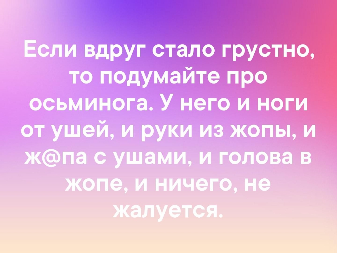 вдруг стало 6 хмм твт и