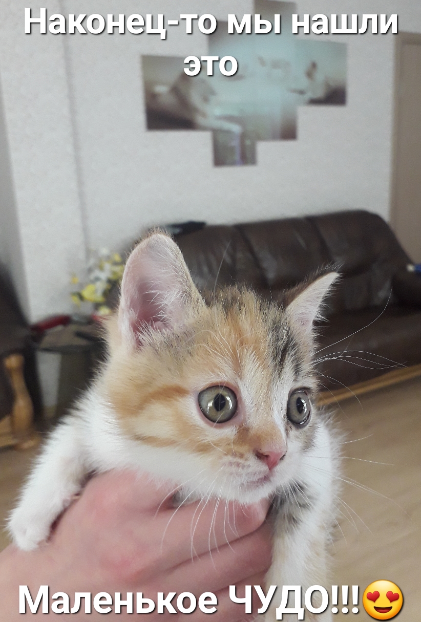 Наконец то Мы нашли Это