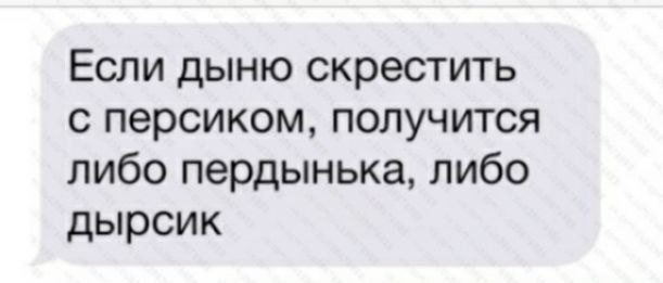 Если дыню скрестить с персиком получится либо пердынька либо дырсик