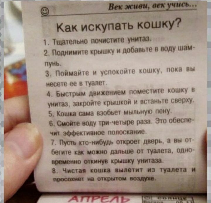 Как искупить кошку Тишелью ЭПодииииче крышку и добавьте в воду шви пуиь 3 Пойиаше и успмпшп пишу има вы месте ее в гуале1 4 Быстрнм движением понести юшку в унитаз закройте крышюи и нстзиые сверху 5 Кош ша взобьеч мыльную пену 6 воду гричешре раза Это обеспе чп ти полоскание 7 кто киот ОПФОШ а вы а беппе пот от туалета одно т_ Чкчцкшитптпцддпч