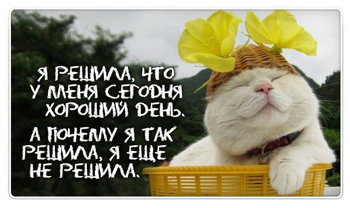 я что у мат огюшя хорошим вещ А ПОЧЕМУ Я ТАК РЕШИАА Я ЕЩЕ НЕ РЕШИАА