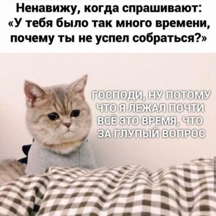 Ненавижу когда спрашивают У тебя было так много времени почему ты не успел собраться хгопсіпюшщ Г П10П01нш ппмітіншмиёюшъпт _ _а ощ1гіёшщ ушіііьлтшйвинт кокс