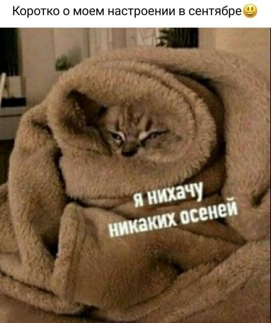 Коротко о моем настроении в сентябреа