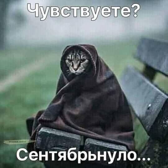 Чтсёё