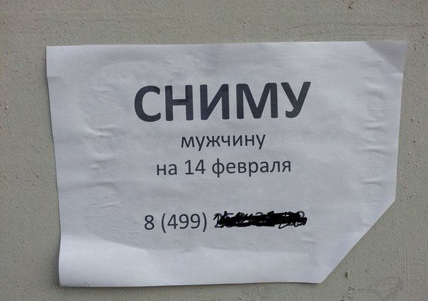 СНИМУ мужчину на 14 февраля в 499