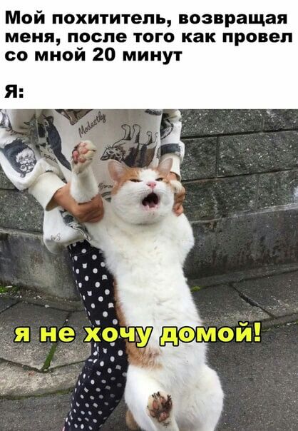 Мой похититель возвращая меня после ТОГО как ПРОВЕЛ со мной 20 минут