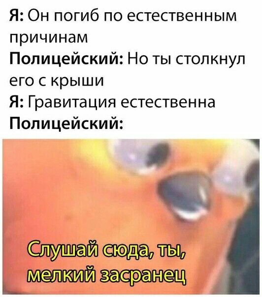 Я Он погиб по естественным причинам Полицейский Но ты столкнул его с крыши Я Гравитация естественна Полицейский См