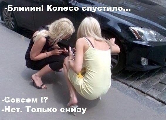 Бпииин Колесо