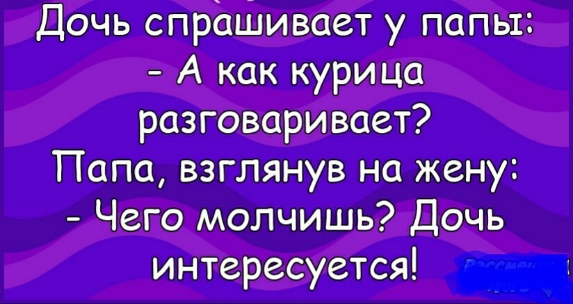 дочь спрішмиет у папы А как курица Папе взглянув на Чего мы дот интересуется