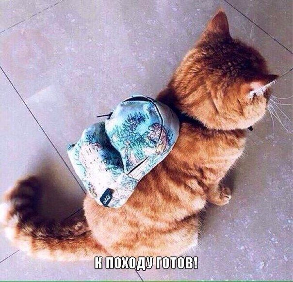 ГПТПВ Ш