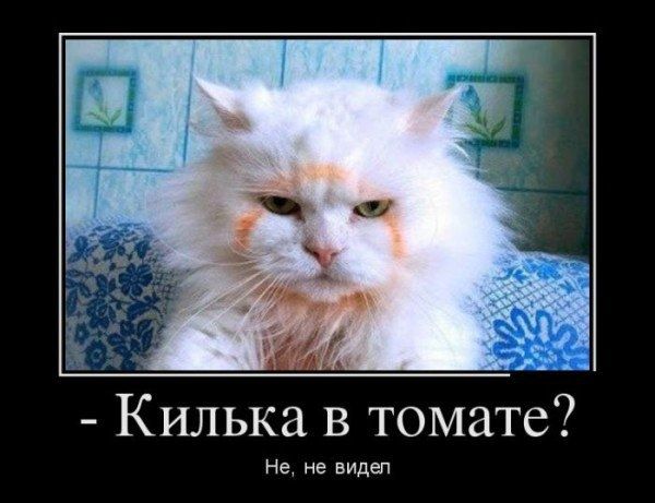 Килька в томате Не не видел