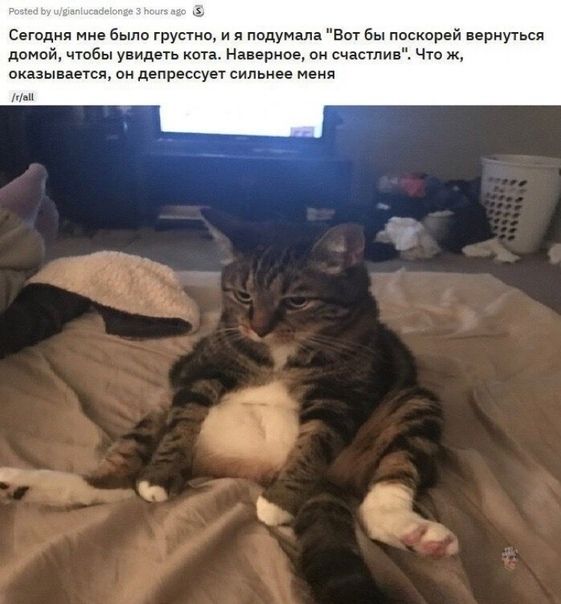 Сегодня мне было грустно и я подумала Вот Бы поскорей вернугься домой чтобы увидеть ота Наверное он счастлив Что ж оказывается он депрессует сильнее меня