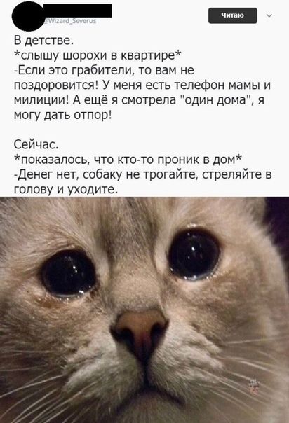 _а В детстве спышу шорохи в квартире Если это грабители то вам не поздоровится У меня есть телефон мамы и милиции А ещё я смотрела один дома я могу дать отпор Сейчас показалось что кто то проник в цен Денег нет собаку не трогайте стреляйте в голову и уходите