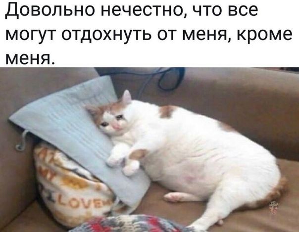 ДОВОЛЬНО Н6ЧЭСТНО ЧТО все МОГУТ ОТДОХНУТЬ ОТ МЕНЯ кроме МЕНЯ