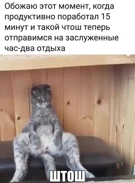 Обожаю этот момент когда продуктивно поработал 15 минут и такой чтош теперь отправимся на заслуженные час два отдыха