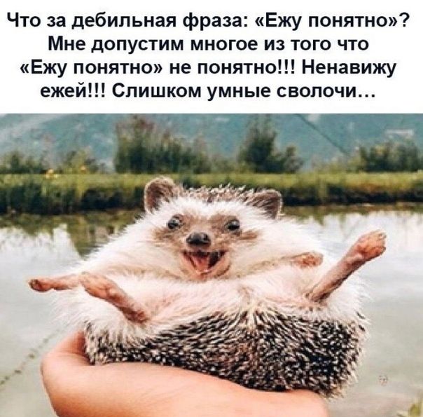Что за дебильная фраза Ежу понятно Мне допустим многое из того что Ежу понятно не понятно Ненавижу ежей Слишком умные сволочи