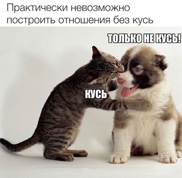 Практически НЭВОЗМОЖНО построить ОТНОШЕНИЯ без КУСЬ ШЁ
