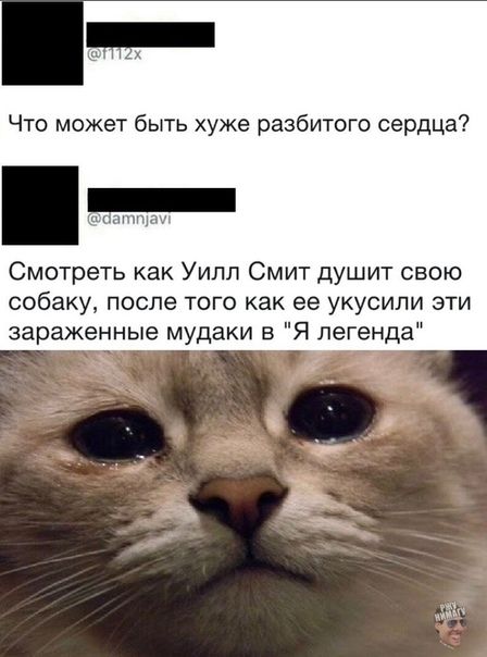 Что может быть хуже разбитого сердца _ дн Смотреть как Уилл Смит душит свою собаку после того как ее укусипи эти зараженные мудаки в Я легенда