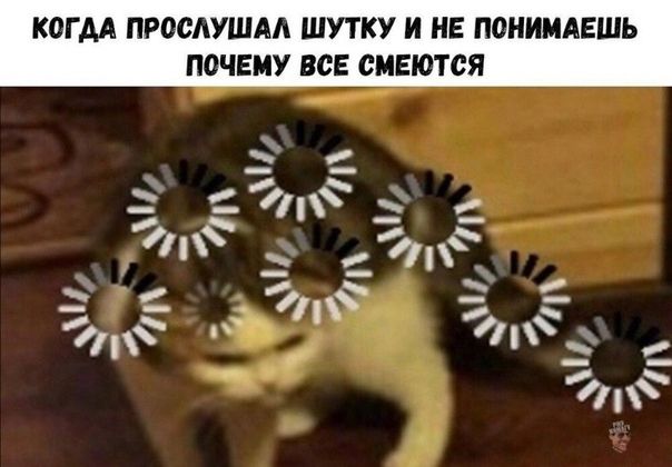 КОГДА ПРОСЛУШАА ШУТКУ И НЕ П0НИМАЕШЬ ПОЧЕМУ ВСЕ СМЕЮТСЯ 57т _ _ _ _ к