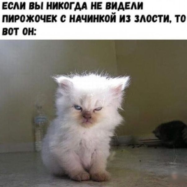 ЕСМ ВЫ НИКОГДА НЕ ЗНАЕМ пирожочвк ндчинкой и мости то вот он