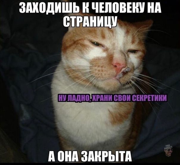 змодищь н чыовнш нп едвцницм ии птицшии спининги д ШШ ЗАКРЫТА