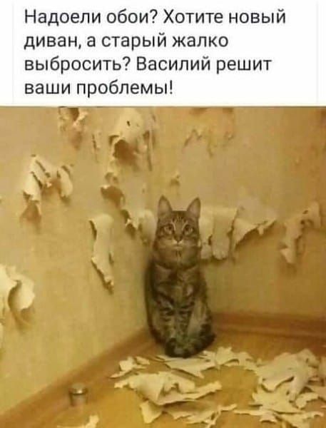 Надоели обои Хотите новый диван а старый жалко выбросить Василий решит ваши проблемы