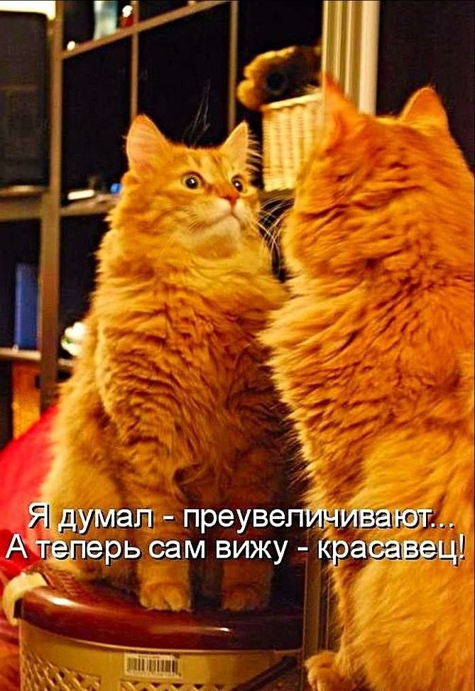 АіТдЁп думал преувепИнива пперь сам вижу Ёраёаёёщ т 1931 _