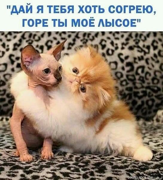 ААЙ Я ТЕБЯ ХОТЬ СОГРЕЮ ГОРЕ ТЫ МОЁ АЫСОЕ