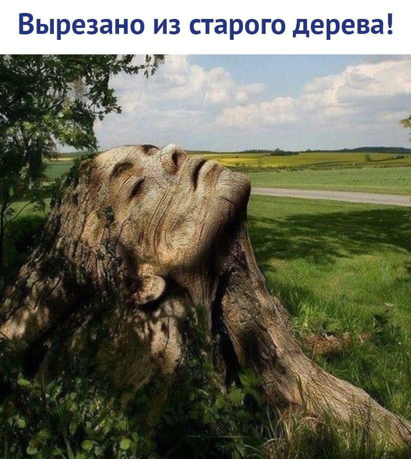 БЫ прёзаи зстарг 103