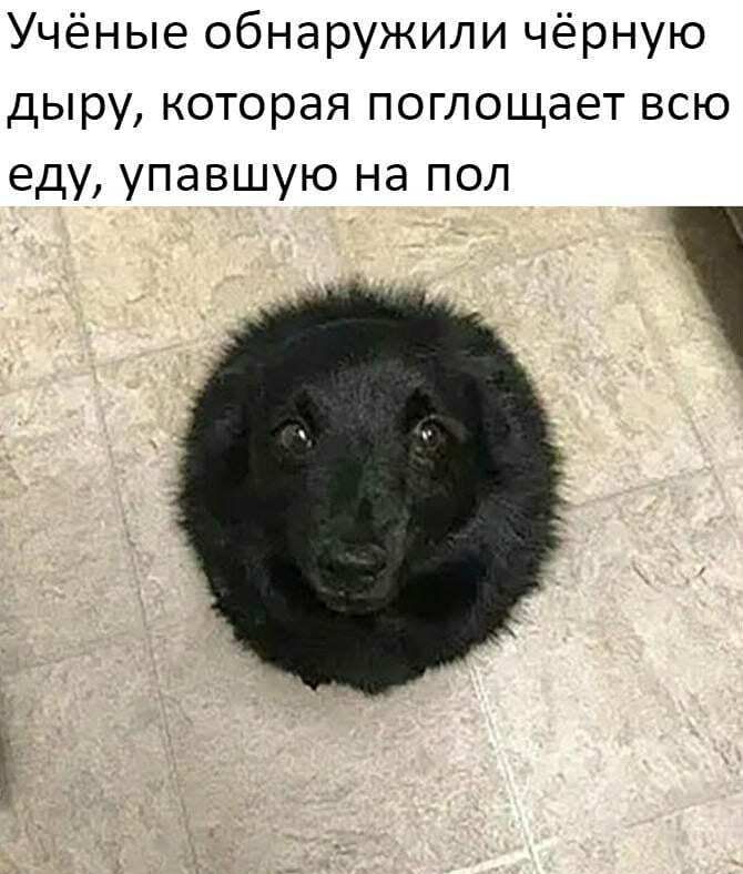 Учёные обнаружили чёрную дыру которая поглощает всю еду упавшую на пол