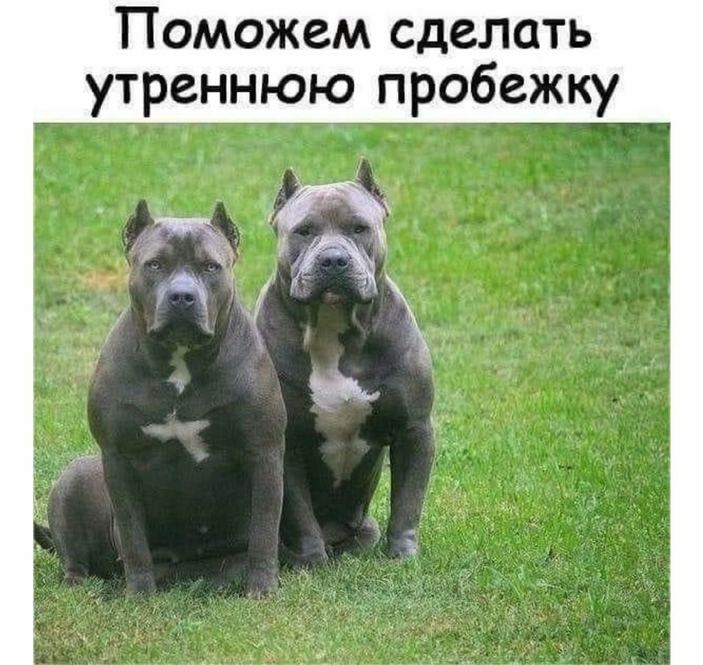Поможем сделать утреннюю пробежку