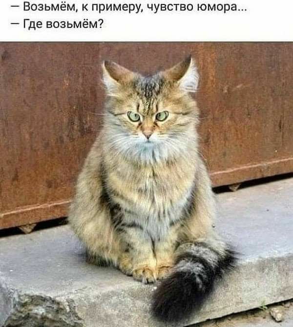 к прим чувство юм Где возьме 7