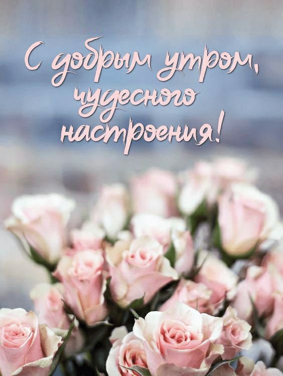 6 жид Шшгсжш Ок пділгіэрчщ
