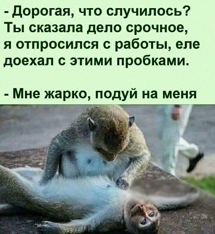 Дорогая что случилось Ты сказала дело срочное я отпросился с работы еле доехал с этими пробками Мне жарко подуй на меня _ __гг О к