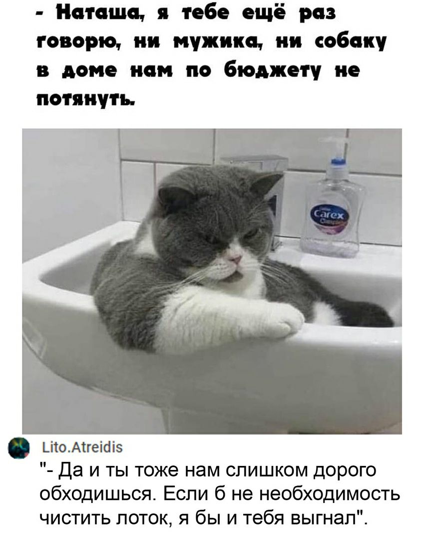 Наташе тебе ещё раз говорю ии мужики ии собаку в доме нем по бюджету не потянуть ііоАтгеіаі Да и ты тоже нам слишком дорого обходишься Если б не необходимость чистить поток я бы и тебя выгнал