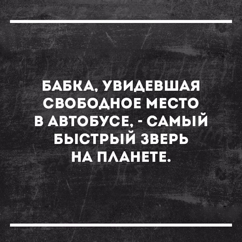 БАБКА УВИАЕВЩАЯ своводнов мвсто в АВТОБУСЕ САМЫЙ БЫСТРЫЙ звврь НА ПААНЕТЕ