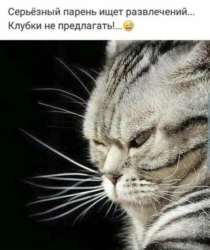 Серьёзный парень ищет развлечений Клубки не предлагать