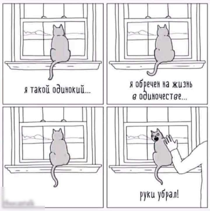 1 а я шя веа я пебши ма жизнь я такой одичокий... Однтев,, 1   ё  я  руки убрал!