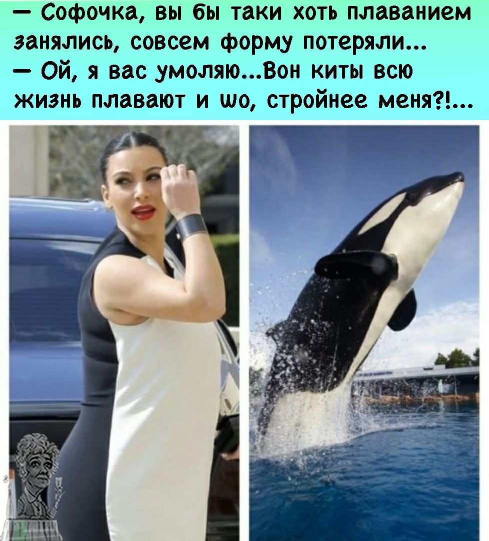 Софочка вы бы таки хоть плаванием занялись совсем форму потеряли Ой я вас умоляюВон киты всю жизнь плавают и шо стройнее меня