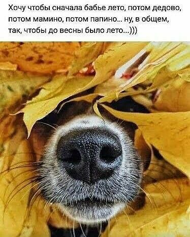 чтбы сначала бабье лето потом дедввс потом мамина потм папино ну в абщем так чтобы до весны было лет