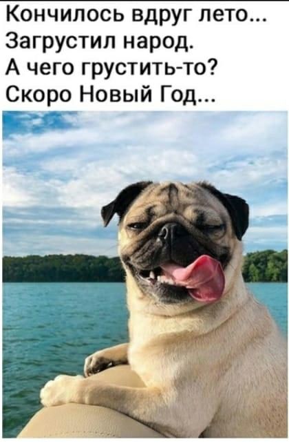 Кончилось вдруг лето Загрустил народ А чего грустить то Скоро Новый Год