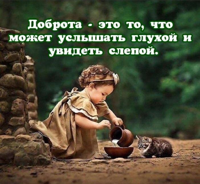 __ доброта это то что виджет услышать глухой и увидеть слепой __