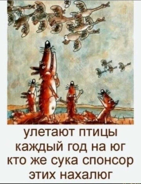 каждый год на юг кто же сука спонсор ЭТИХ НЭХЭП Ю Г