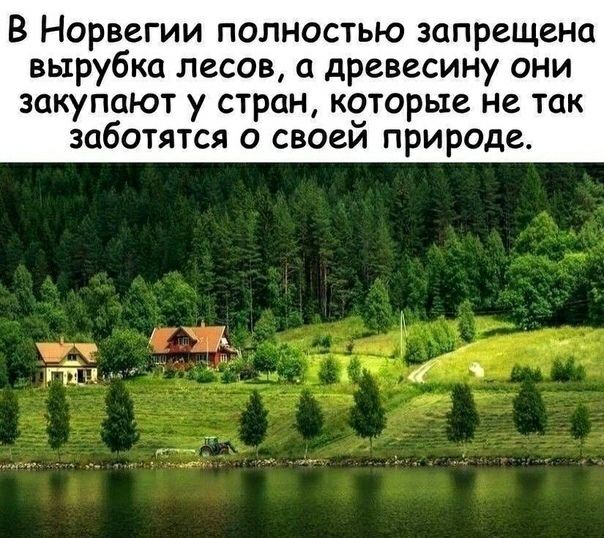 В Норвегии полностью запрещена вырубка лесов а древесину они закупают у стран которые не так заботятся о своеи природе підт 4