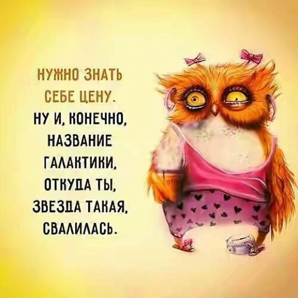 НУЖНО ЗНАТЬ СЕБЕ ЦЕНУ НУ И КОНЕЧНО НАЗВАНИЕ ГАААНТИНИ ОТНУПА ТЫ ЗВЕЗДА ТАНАЯ СВААИААБЬ