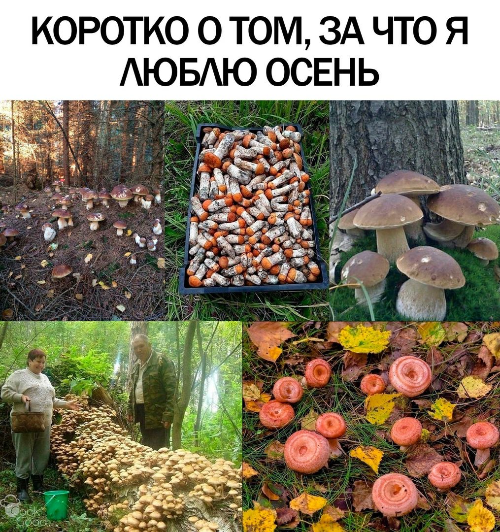 коротко о том ЗА что я АЮБАЮ ОСЕНЬ