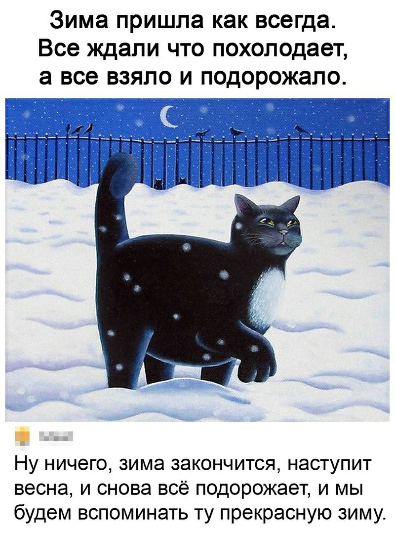 Зима пришла как всегда Все ждали что похолодает Ну ничего зима закончится наступит весна и снова всё подорожает и мы будем вспоминать ту прекрасную зиму
